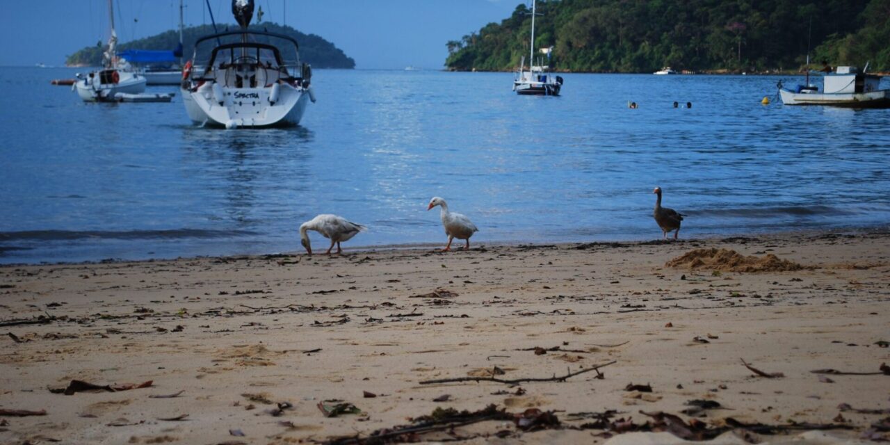 paraty i ilha grande
